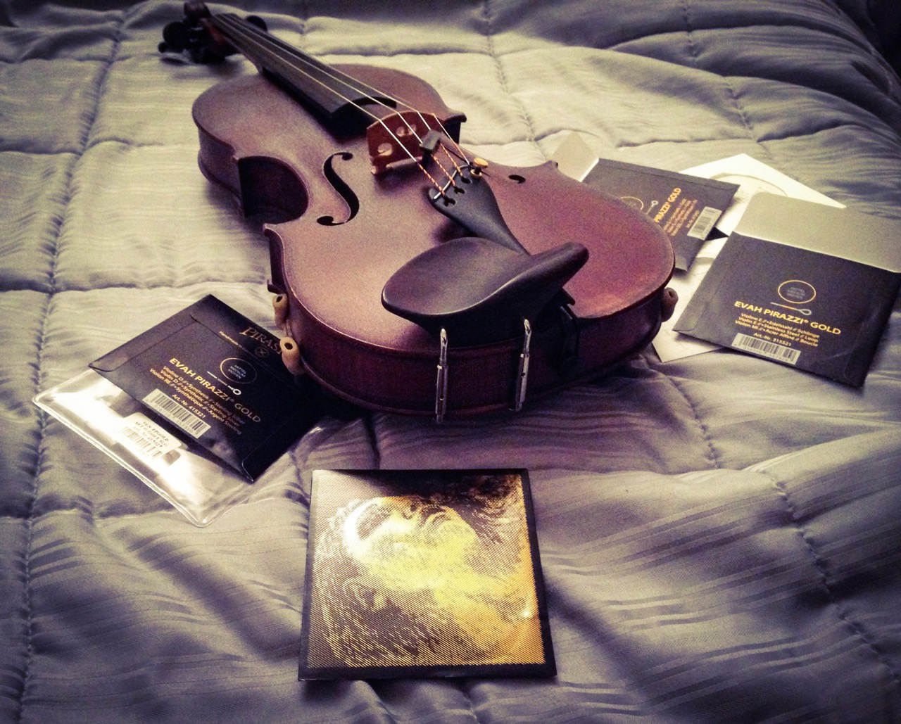 Laurel Thomsen's violin and Evah Pirazzi Gold strings