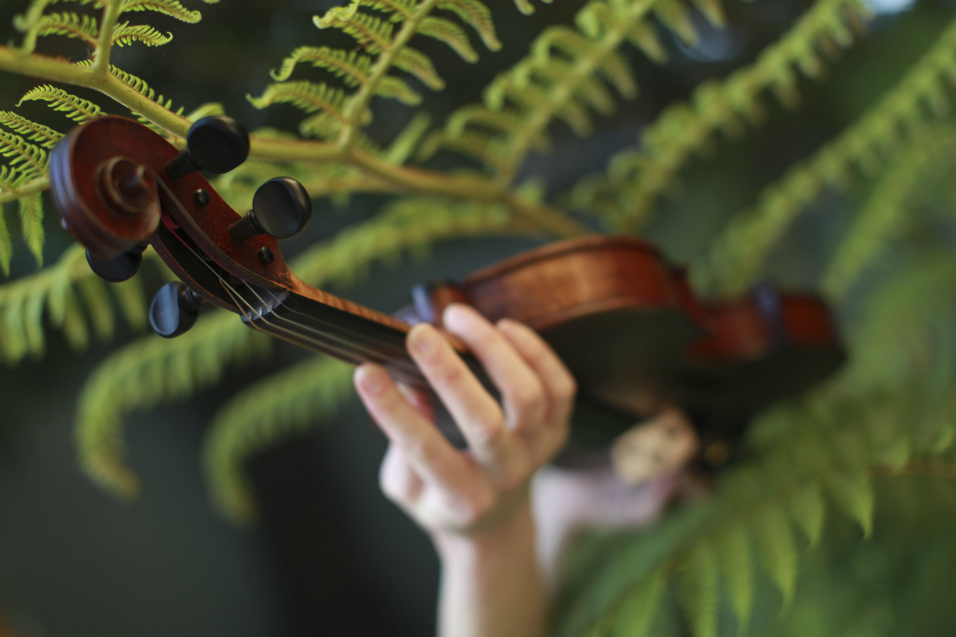 Violin with hand and fern